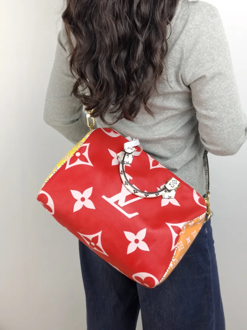 Louis Vuitton Top Handle Bag Speedy30 Colorblock PVC Large 30 × 17 × 21 cm — on-model view 1 of 3