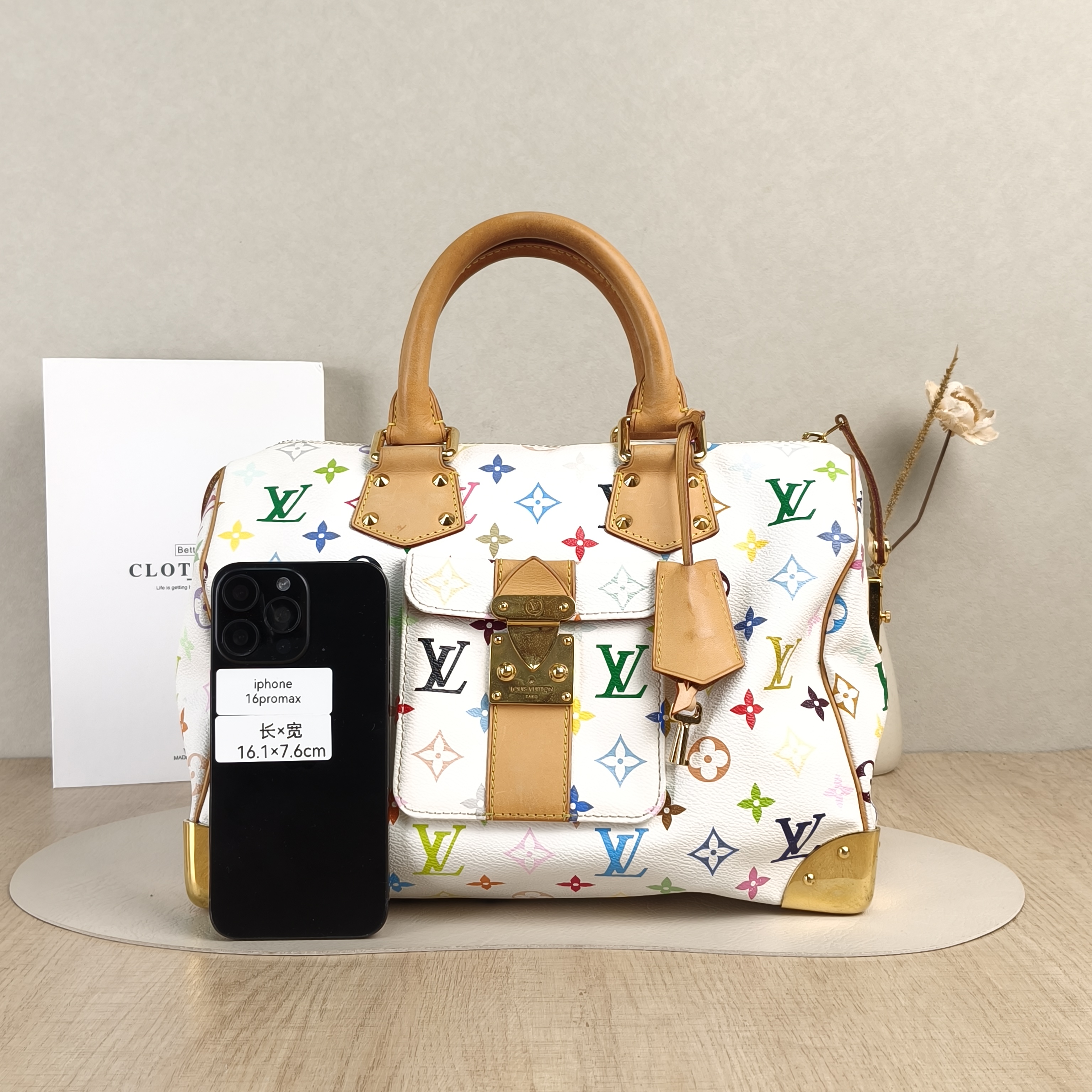 Louis Vuitton Top Handle Bag Speedy30 Edition- Multicolore PVC One Size30 × 18.5 × 21 cm — cover view 4 of 5