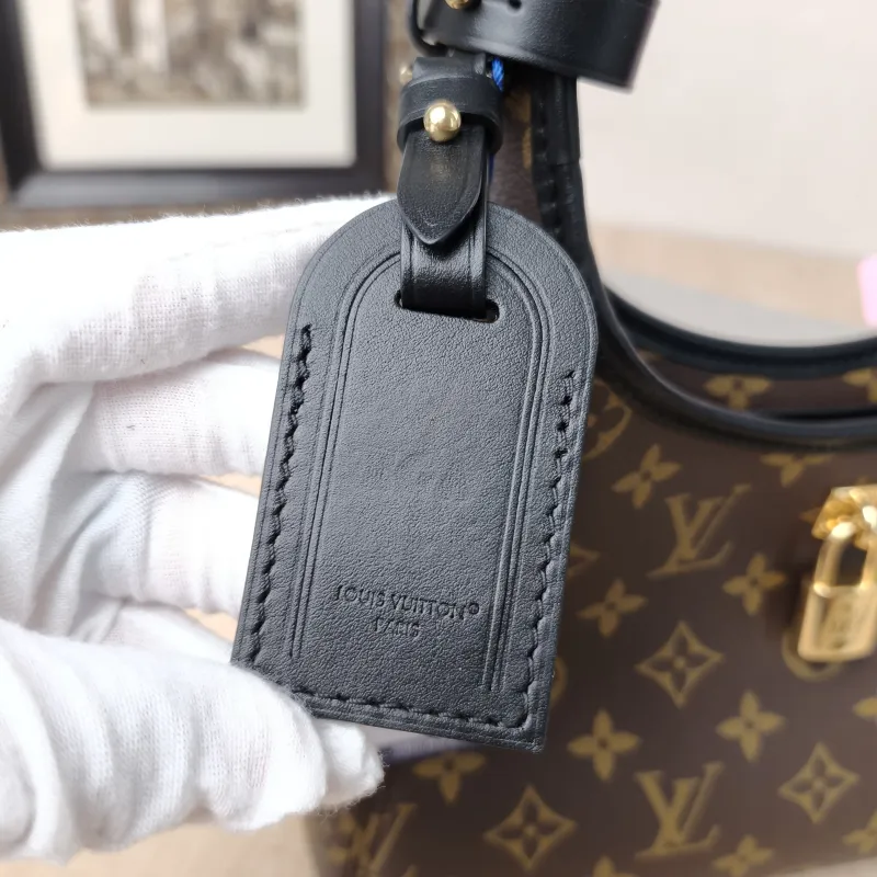 Louis Vuitton Shoulder Bag The Drop Monogram PVC Small28 × 12 × 15 cm — detail view 10 of 17