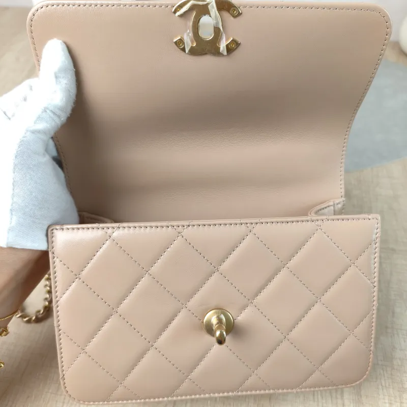 Chanel Crossbody Bag woc Taupe Calfskin One Size19 × 6 × 12 cm — detail view 2 of 12