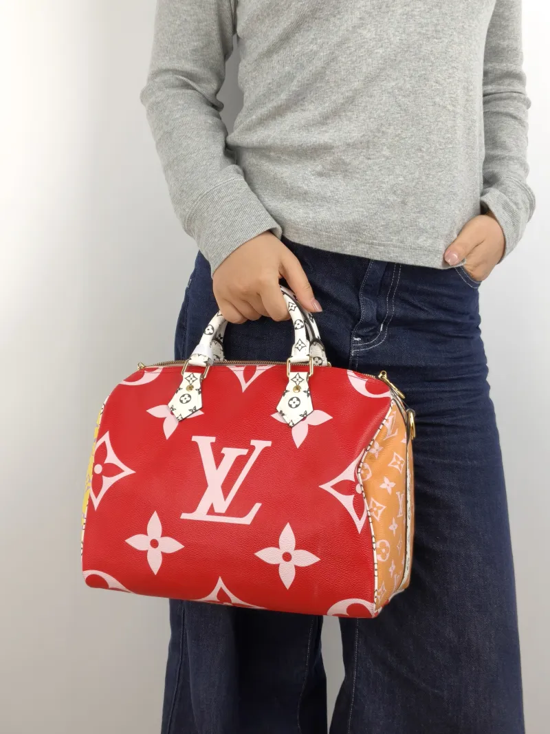 Louis Vuitton Top Handle Bag Speedy30 Colorblock PVC Large 30 × 17 × 21 cm — on-model view 2 of 3