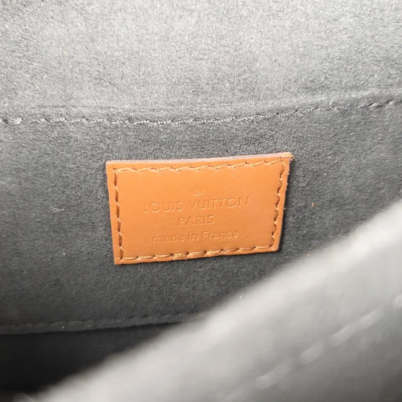 Louis Vuitton Crossbody Bag Dauphine Monogram PVC Mini 20 × 9 × 15 cm — detail view 6 of 12
