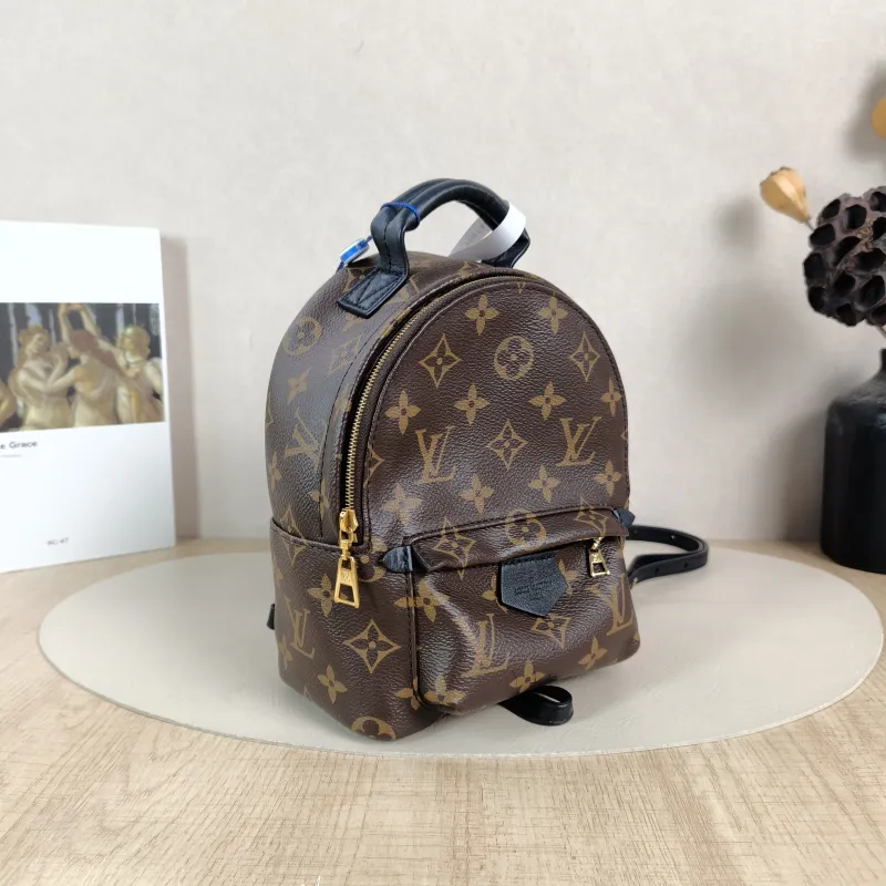 Louis Vuitton Backpack Palm Springs Backpack Monogram PV Cmini17 × 10 × 22 cm — cover view 3 of 5