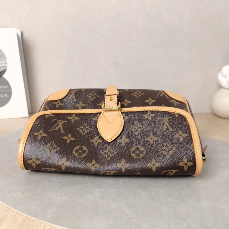 Louis Vuitton Crossbody Bag Diane Baguette Bag Shoulder Strap PVC Small 24 × 9 × 15 cm — detail view 14 of 15