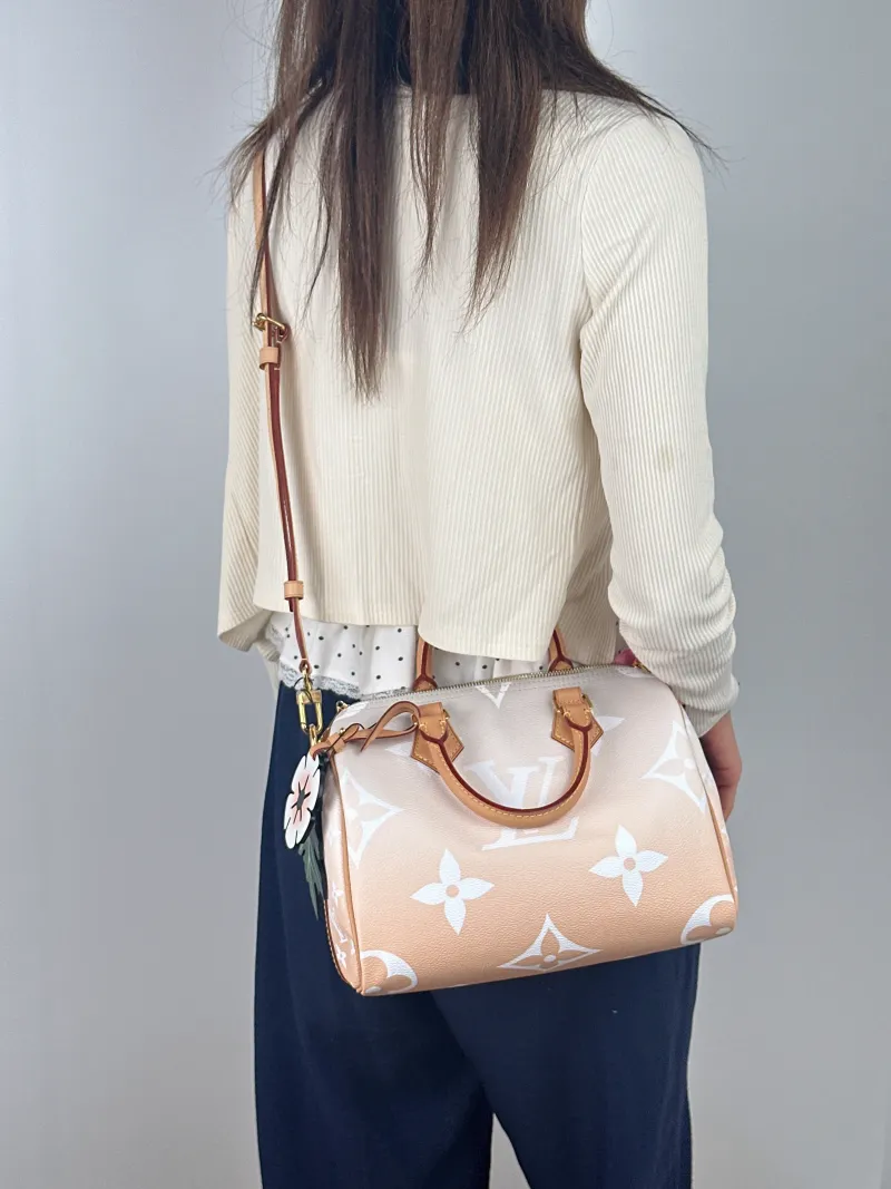 Louis Vuitton Top Handle Bag Speedy25 PVC One Size 25 × 15 × 19 cm — on-model view 1 of 3