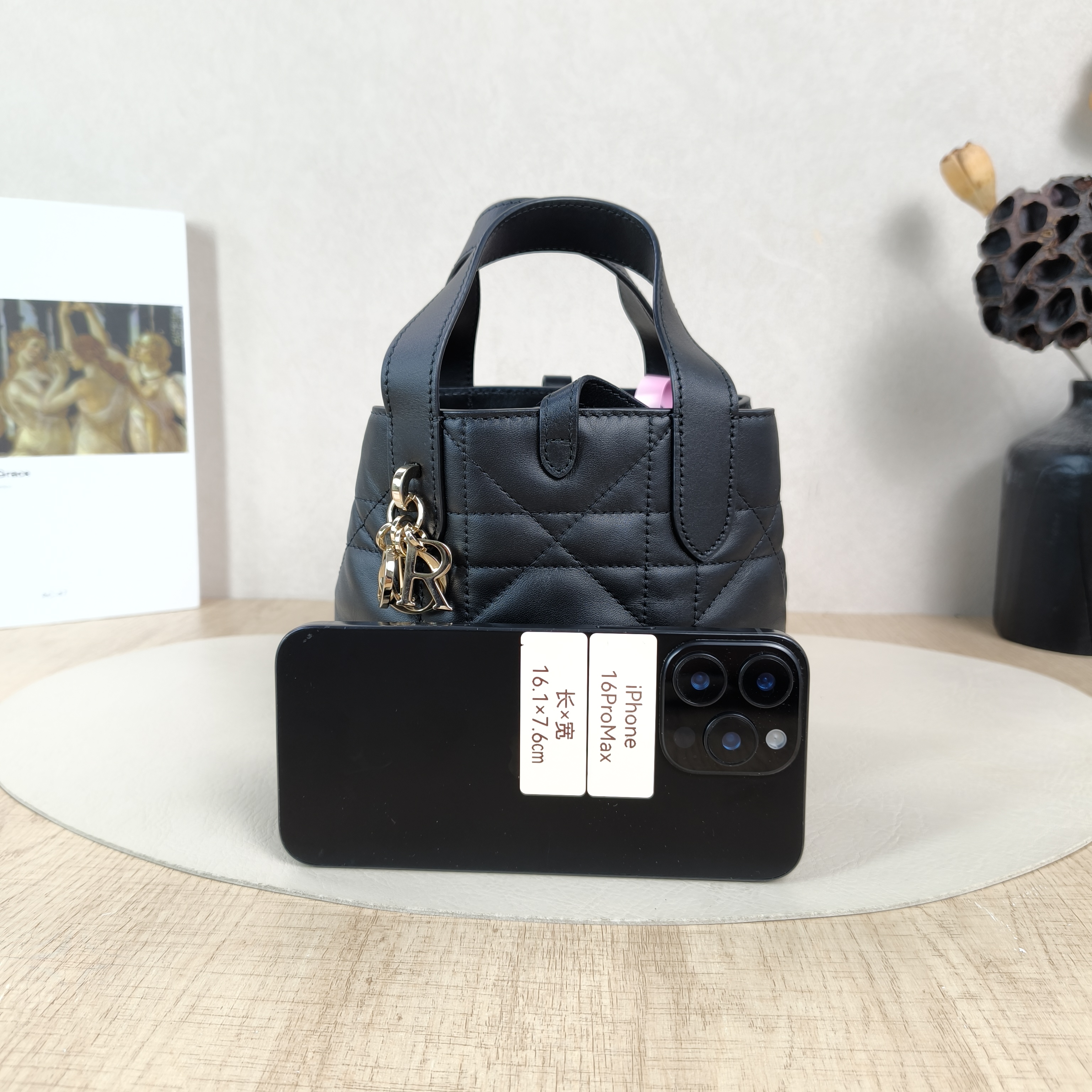 DIOR Shoulder Bag TOUJOURS Edition Black Calfskinmini13 × 12 × 15 cm — cover view 2 of 6