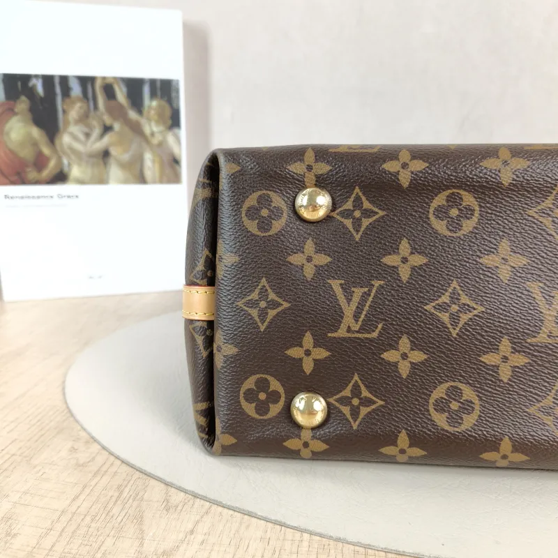 Louis Vuitton Crossbody Bag Carryall Monogram PVC Small 29 × 12 × 24 cm — detail view 5 of 13