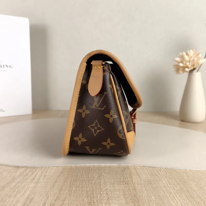 Louis Vuitton Crossbody Bag Diane Baguette Bag Shoulder Strap PVC Small 24 × 9 × 15 cm — detail view 3 of 12