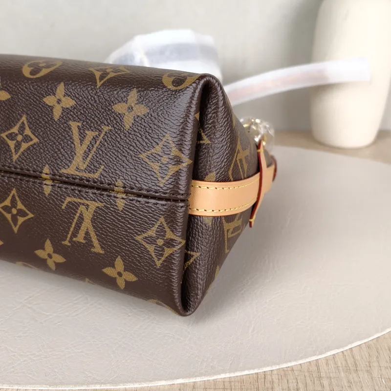 Louis Vuitton Crossbody Bag Carryall BB Monogram PVCBB26 × 10 × 17 cm — detail view 13 of 13