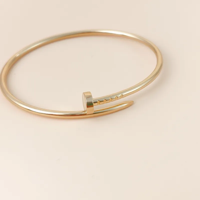 CARTIER Bangle Juste un Clou Bangle 18KY ellow Gold Yellow Gold 18KY ellow Gold Small Edition17 — cover view 3 of 8