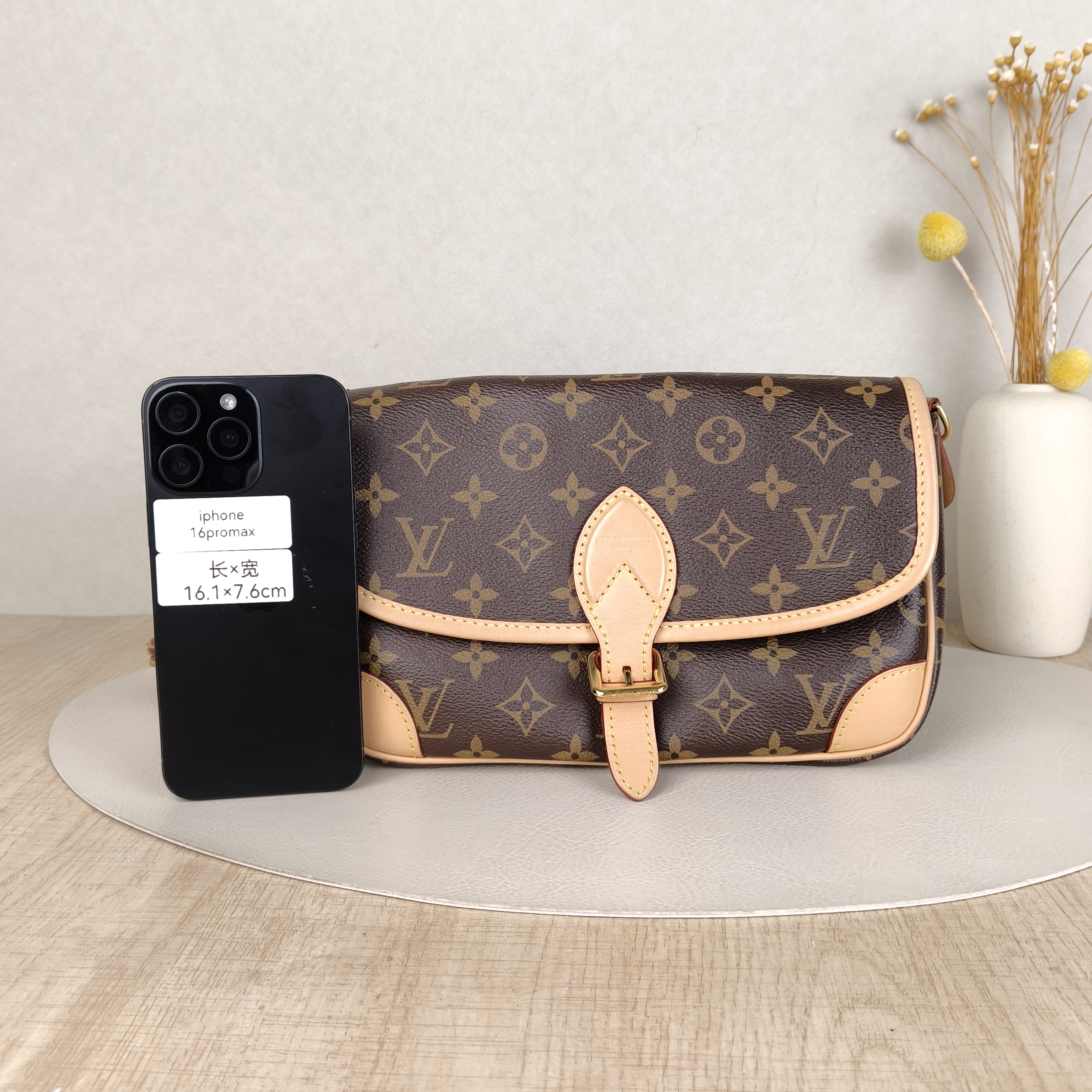 Louis Vuitton Crossbody Bag Diane Baguette Bag Monogram Shoulder Strap PVC Small24 × 9 × 15 cm — cover view 2 of 6