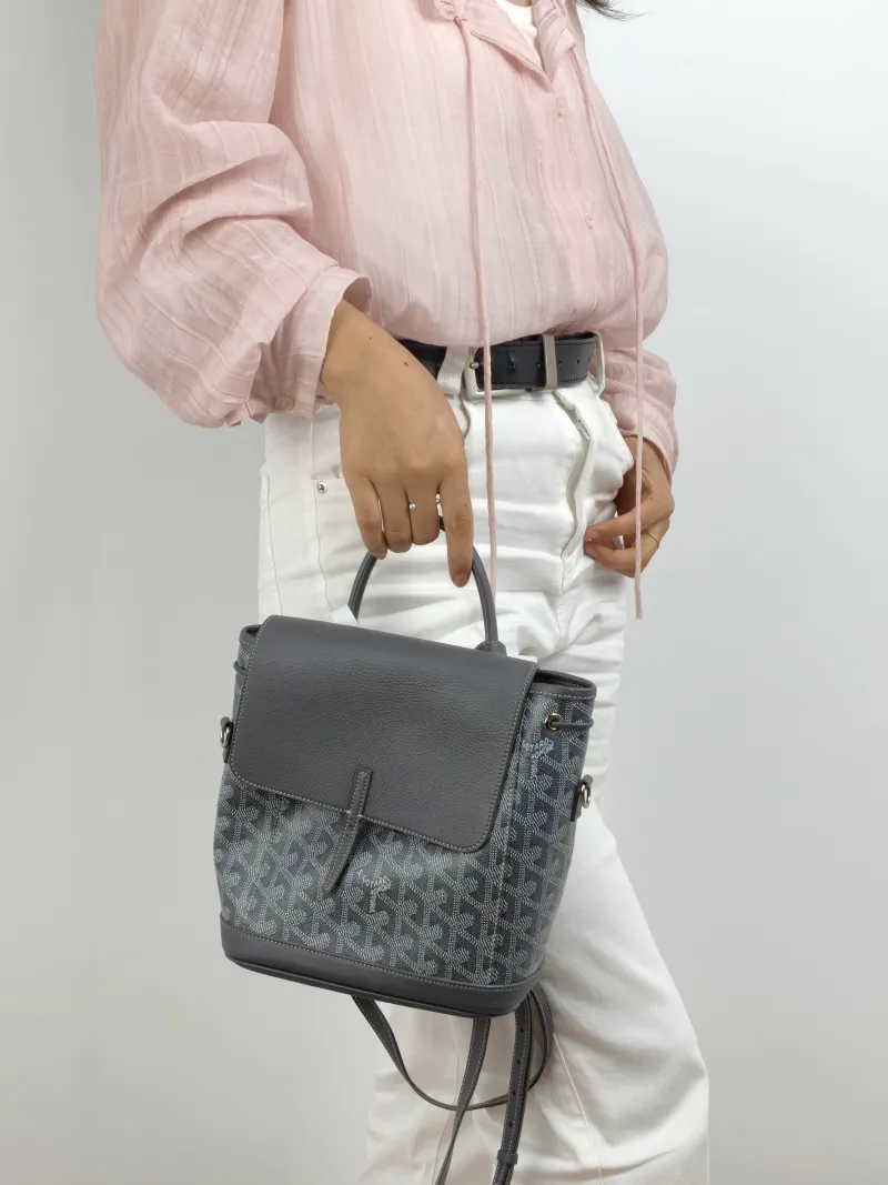 GOYARD Crossbody Bag ALPIN Backpack Grey PVC Mini 19 × 9.5 × 23 cm — on-model view 3 of 3