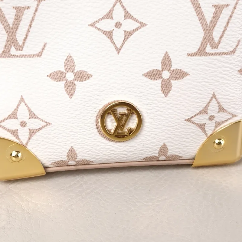Louis Vuitton Crossbody Bag NOÉ PURSE LV CHARMS PVC Mini 11.5 × 11.5 × 11.5 cm — detail view 8 of 10