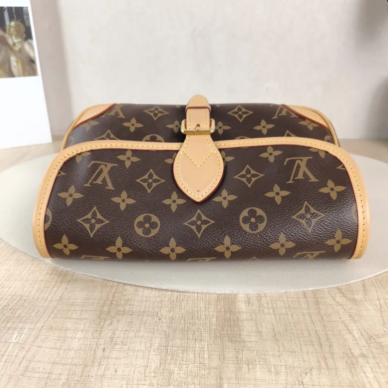 Louis Vuitton Crossbody Bag Diane Baguette Bag Shoulder Strap PVC Small 24 × 9 × 15 cm — detail view 9 of 11