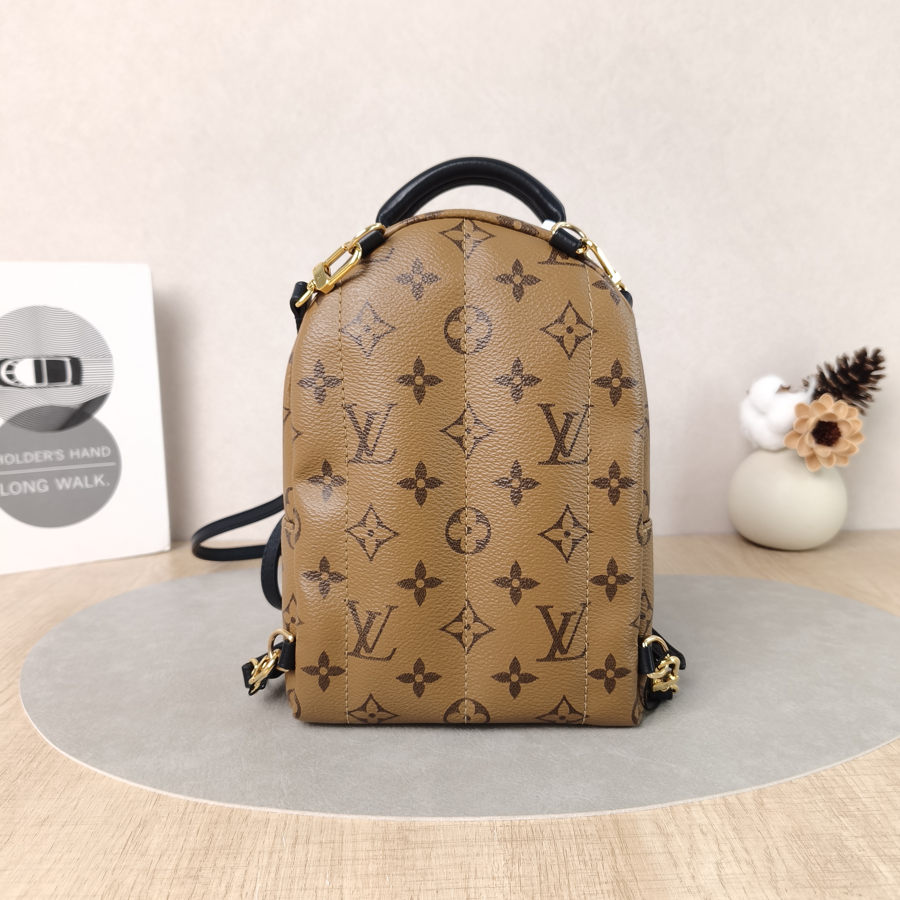 Louis Vuitton Backpack Palm Springs Backpack Monogram PV Cmini17 × 10 × 22 cm — cover view 5 of 5