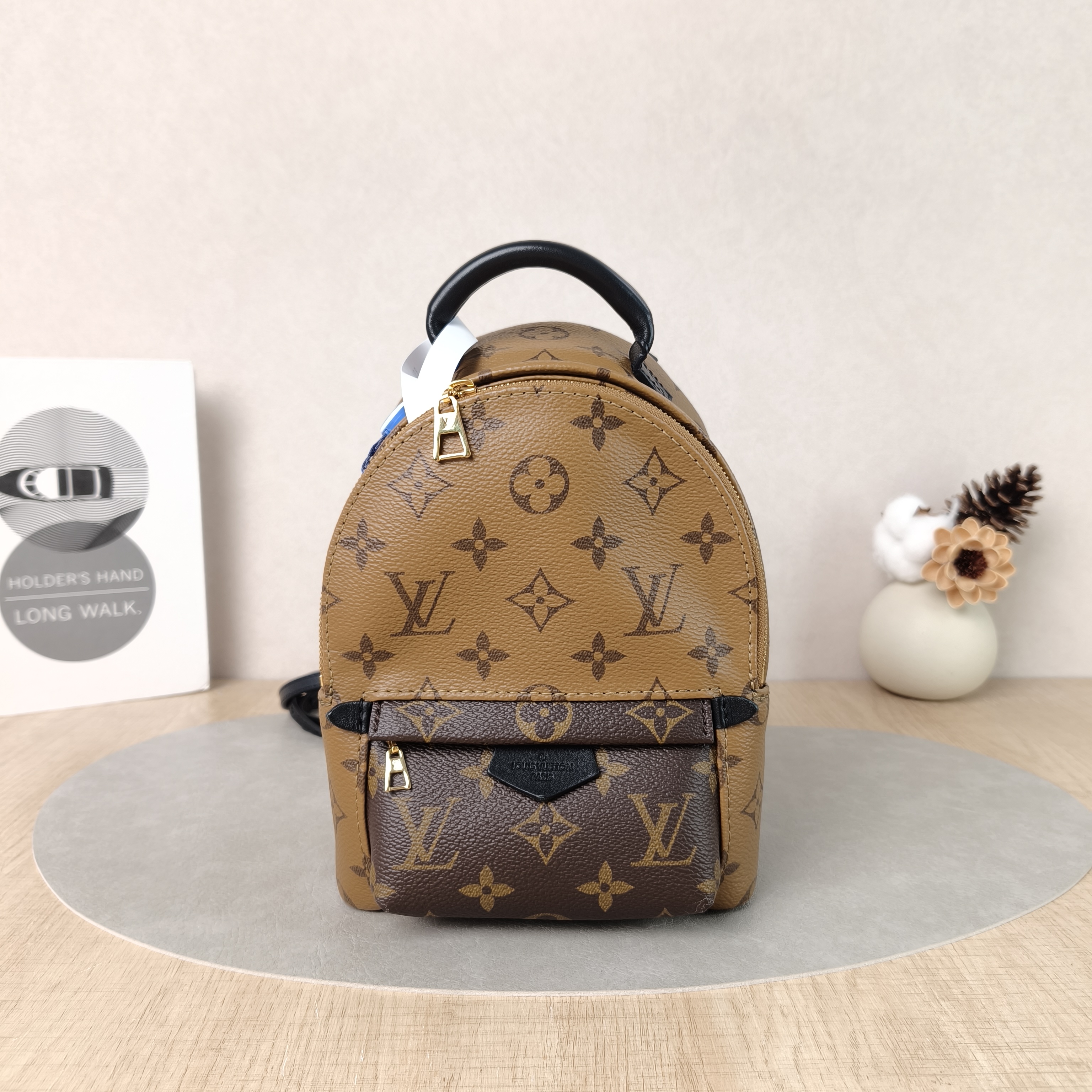Louis Vuitton Backpack Palm Springs Backpack Monogram PV Cmini17 × 10 × 22 cm