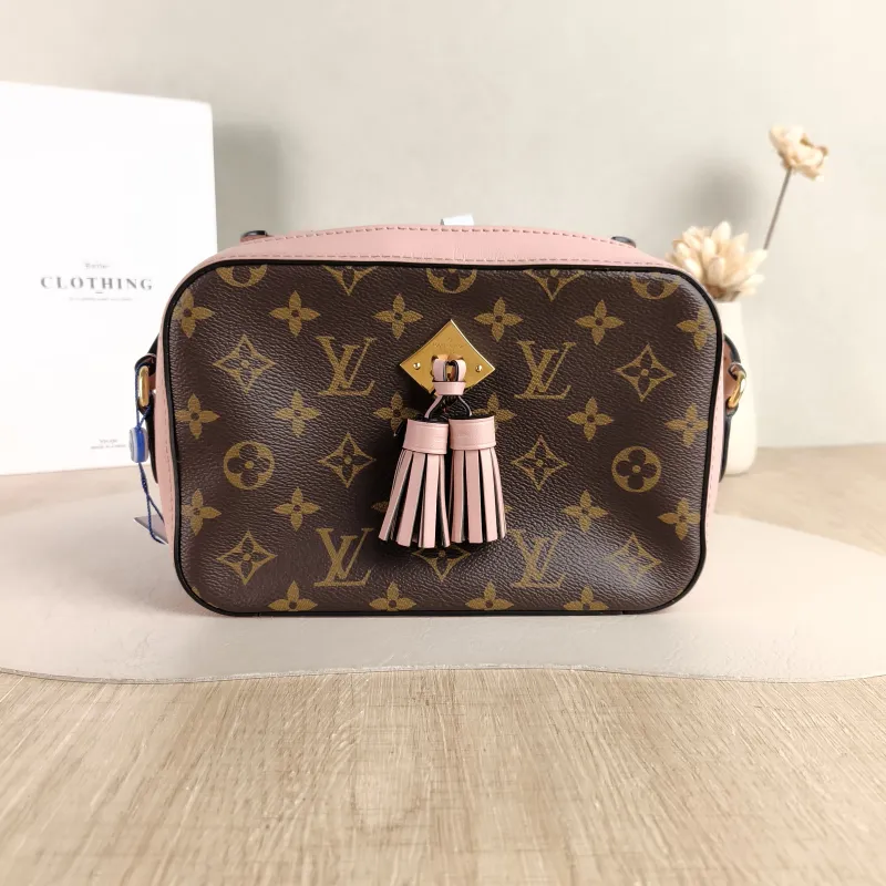 Louis Vuitton Crossbody Bag Saintonge Camera Bag Pink PVC Small 22 × 8 × 16 cm