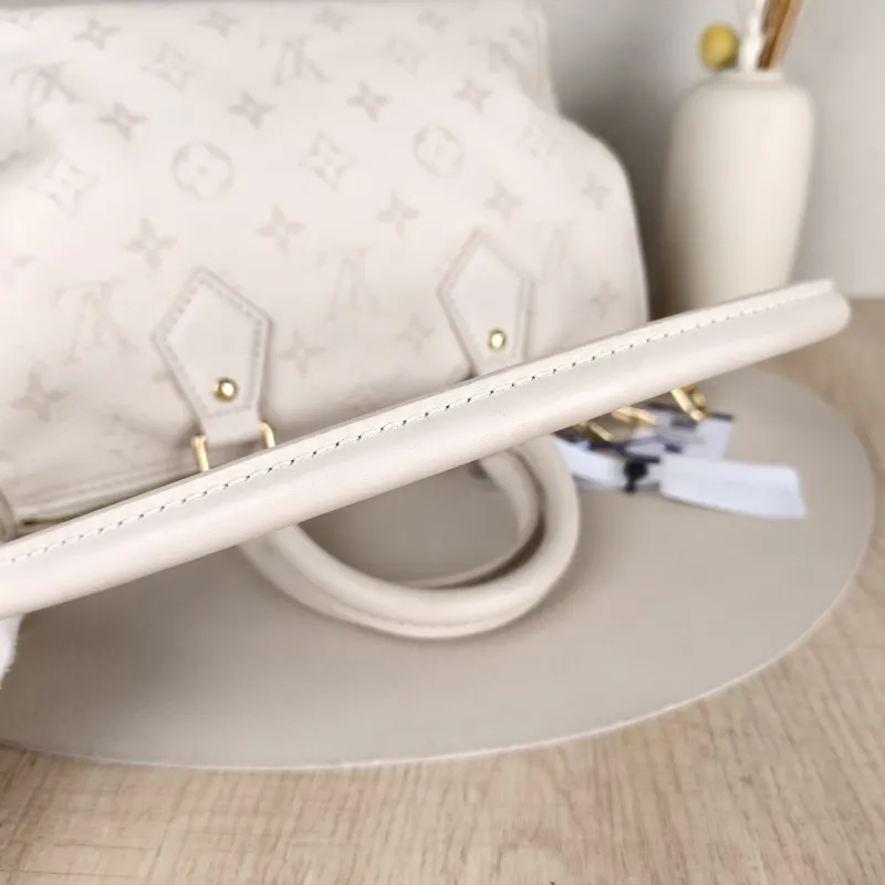 Louis Vuitton Bag — detail view 6 of 14