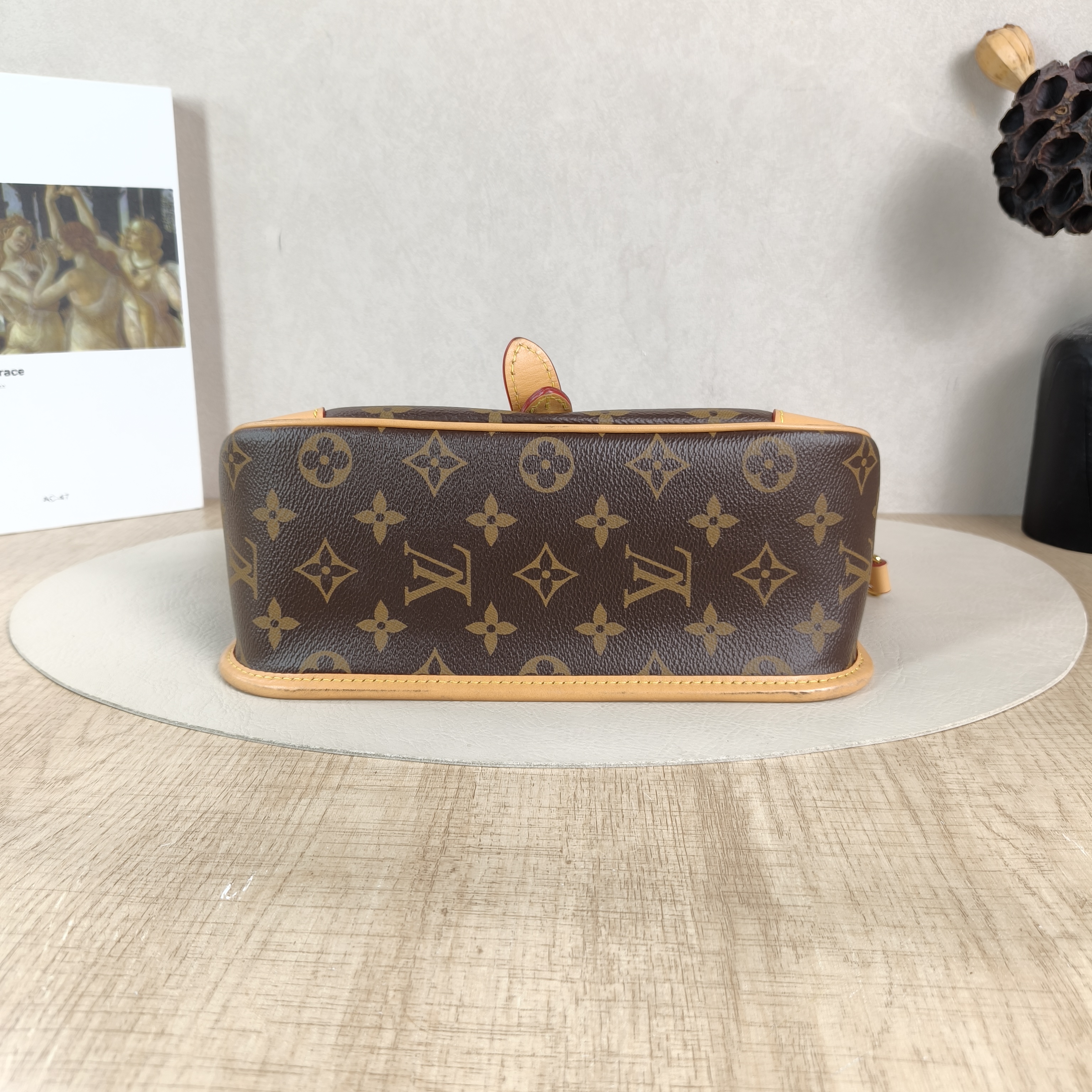 Louis Vuitton Crossbody Bag Diane Baguette Bag Shoulder Strap PVC Small24 × 9 × 15 cm — cover view 3 of 5