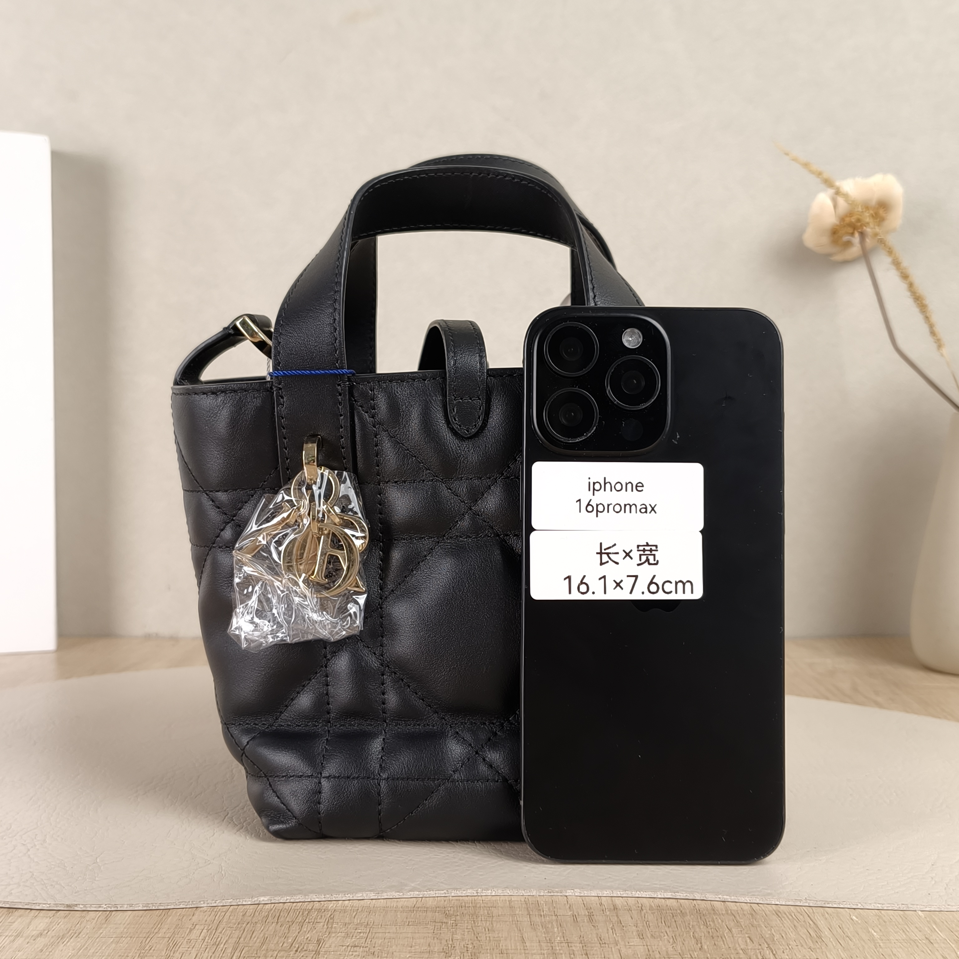 DIOR Shoulder Bag TOUJOURS Edition Black Calfskinmini13 × 12 × 15 cm — cover view 3 of 6