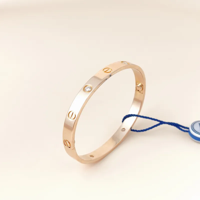 CARTIER Bangle Love Collection Bangle Rose Gold Diamond18KR ose Gold Edition 17 — cover view 3 of 11