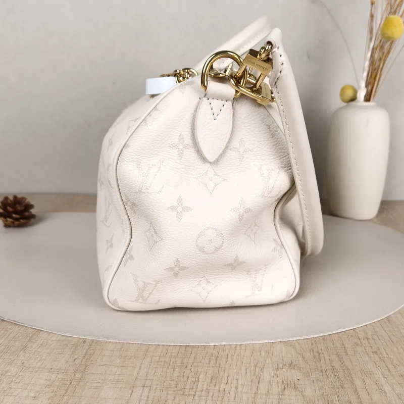 Louis Vuitton Bag — detail view 14 of 14