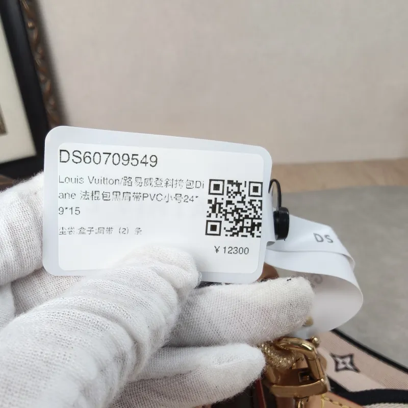 Louis Vuitton Crossbody Bag Diane Baguette Bag Shoulder Strap PVC Small24 × 9 × 15 cm — detail view 7 of 21