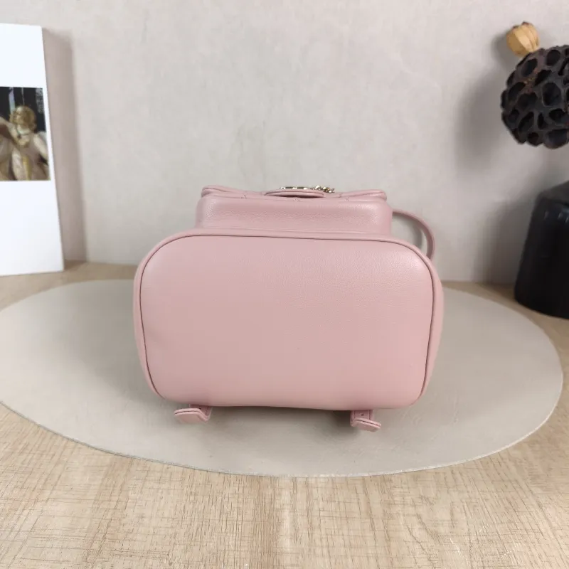 Chanel Backpack Duma Pink Calfskin Small 18 × 12 × 18.5 cm — cover view 5 of 5