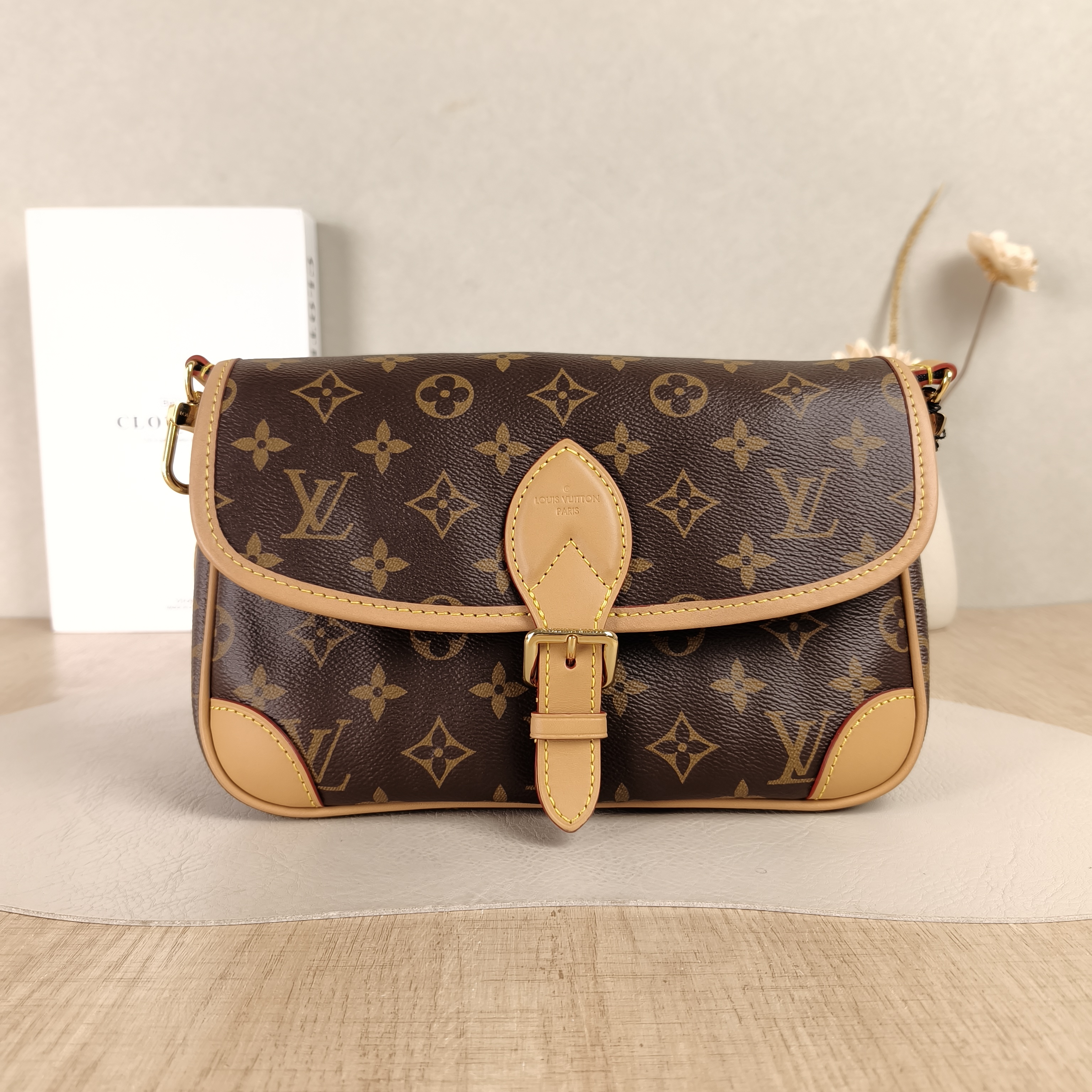 Louis Vuitton Bag Diane PVC24*9*15