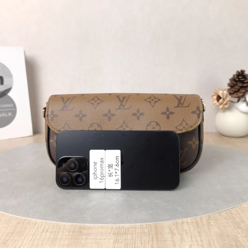 Louis Vuitton Bag — cover view 3 of 6