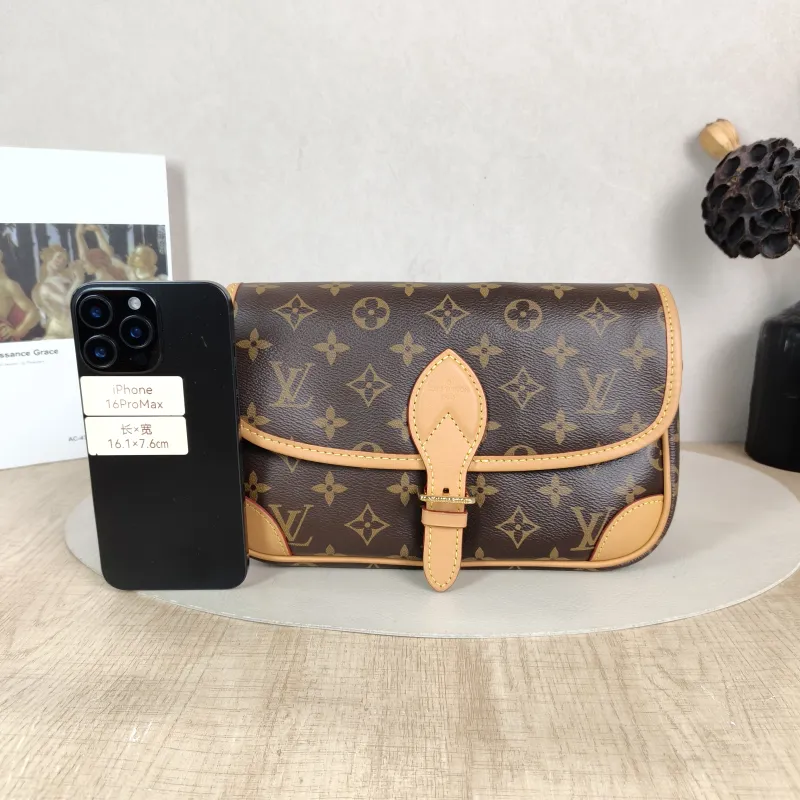 Louis Vuitton Crossbody Bag Diane Baguette Bag Shoulder Strap PVC Small 24 × 9 × 15 cm — cover view 5 of 6