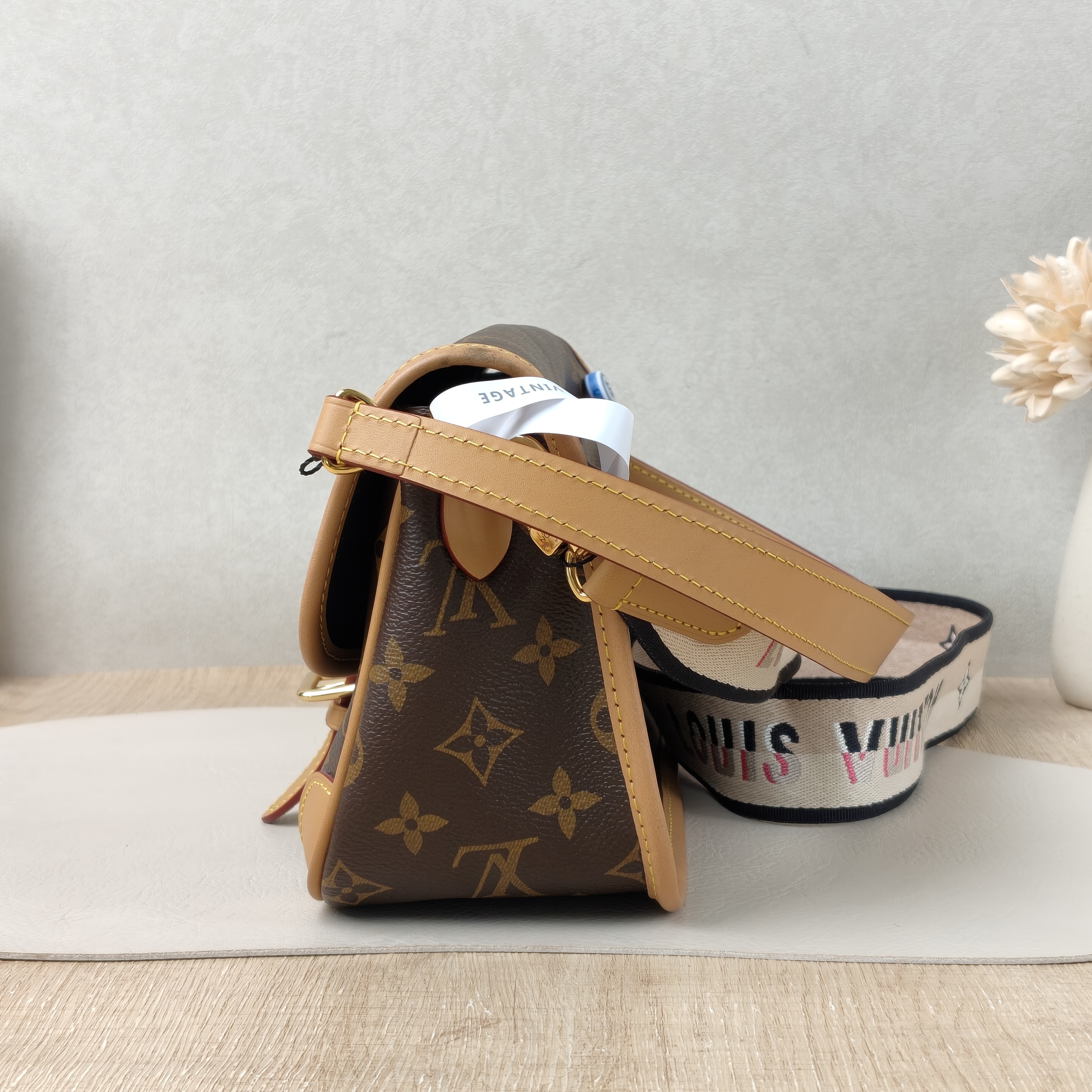 Louis Vuitton Diane Baguette Bag Small Monogrampvc Microchip Edition · Two Straps · 24 × 9 × 15 cm — cover view 3 of 9