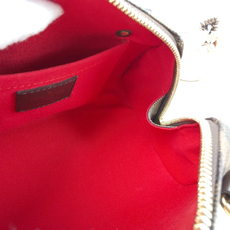 Louis Vuitton Top Handle Bag Ribera Damier Ebene PVC One Size 24 × 13 × 13 cm — detail view 2 of 11