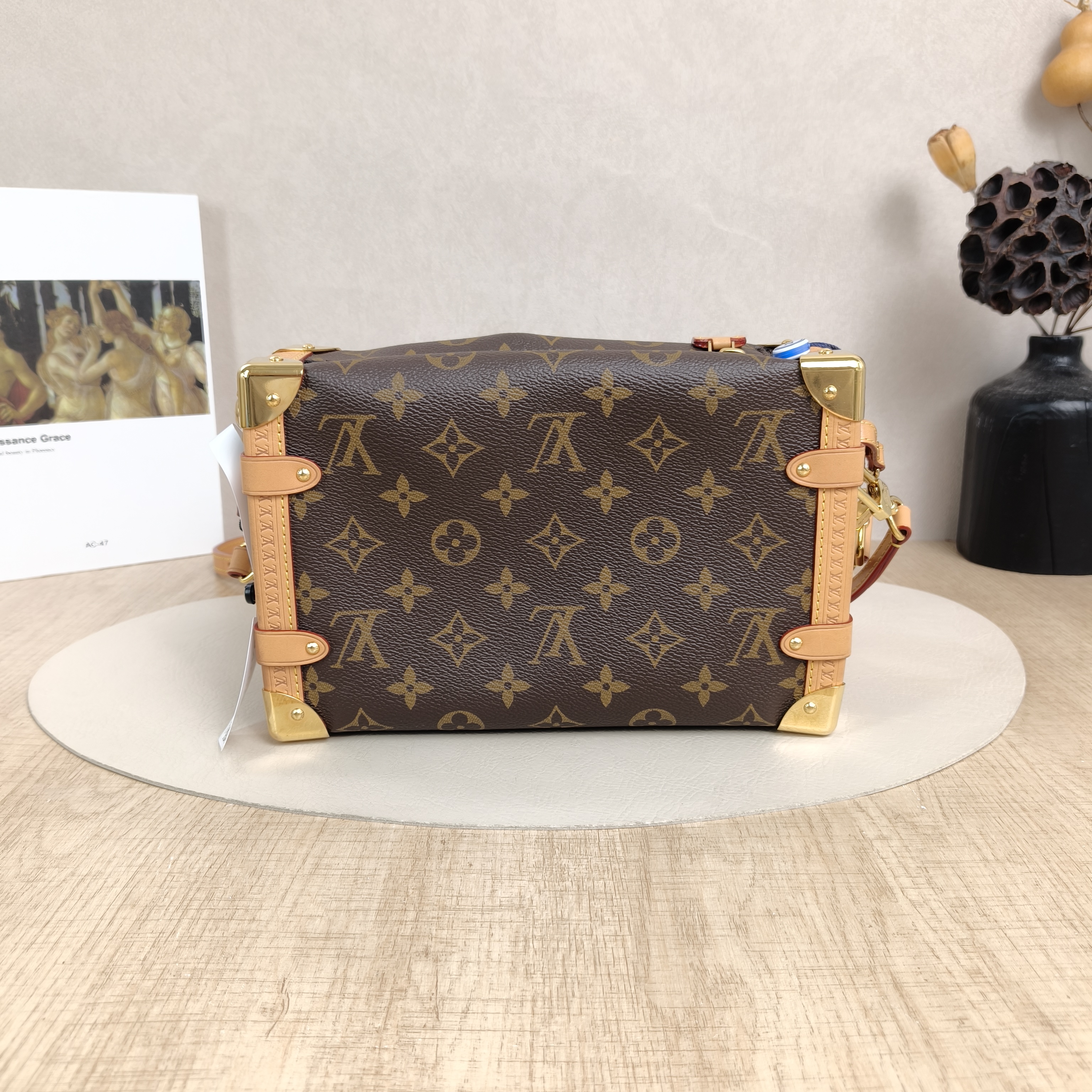Louis Vuitton Crossbody Bag Side Trunk Box Monogram PVC Medium23.5 × 8.5 × 16 cm — cover view 4 of 6