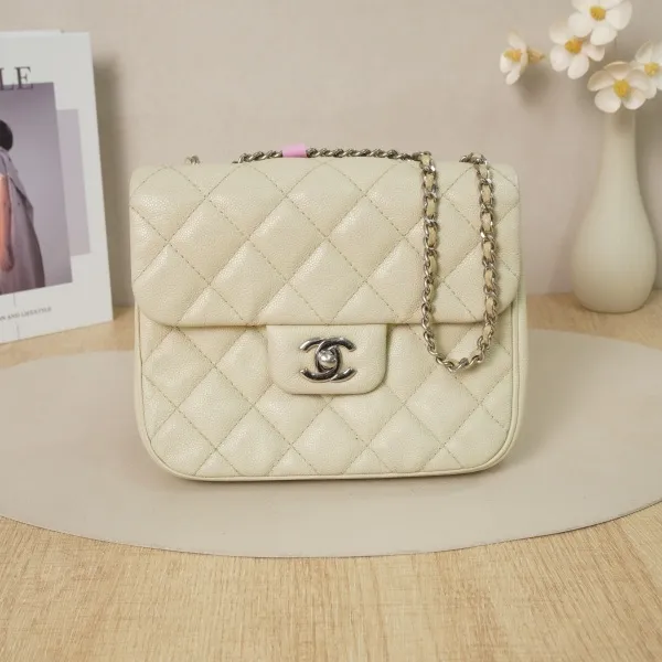 Chanel Calfskin25 · 20 × 6 × 16 cm Conditioned · Conditioned