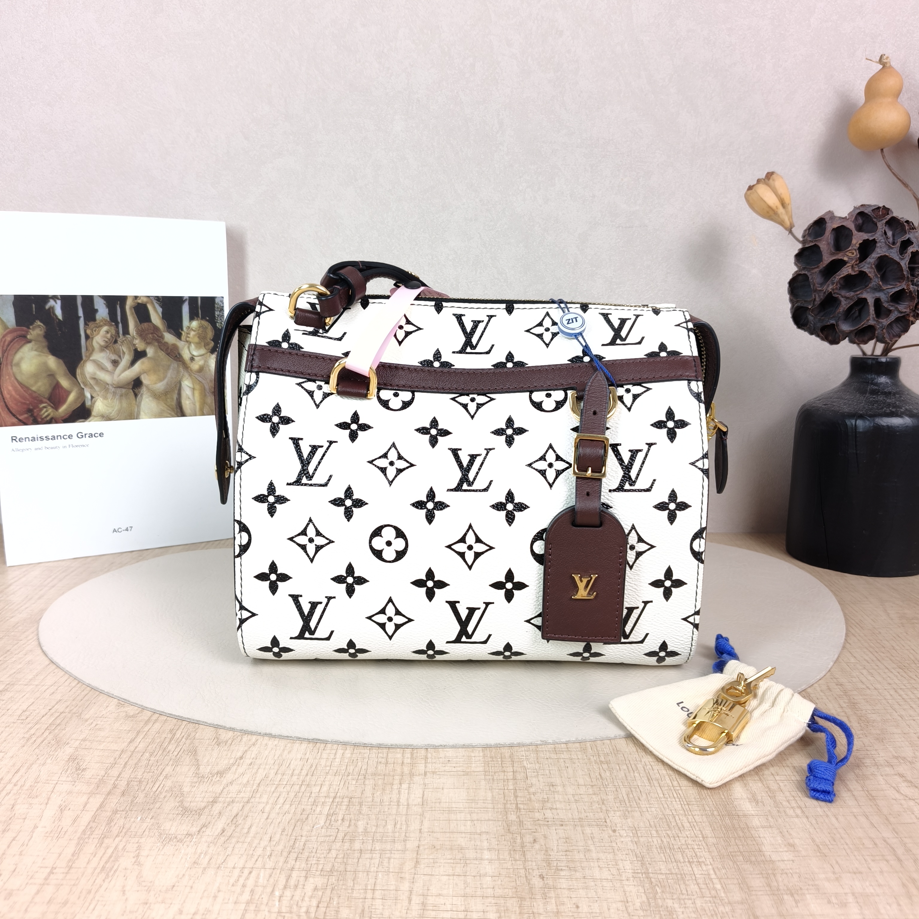 Louis Vuitton Shoulder Bag Speedy Amazon White PVC Small23 × 15 × 20 cm