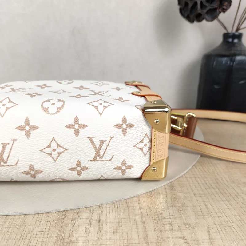 Louis Vuitton Crossbody Bag Side Trunk East West Box PVC Medium 28 × 7 × 15 cm — detail view 7 of 10