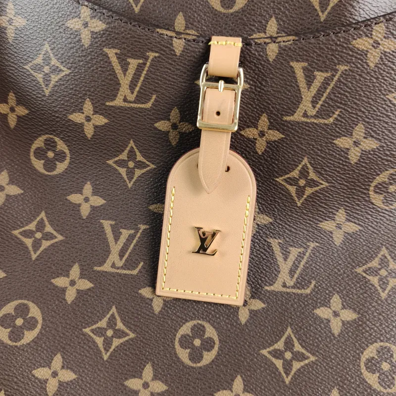 Louis Vuitton Crossbody Bag ODEON Monogram PVC Medium 31 × 11 × 27 cm — detail view 7 of 12
