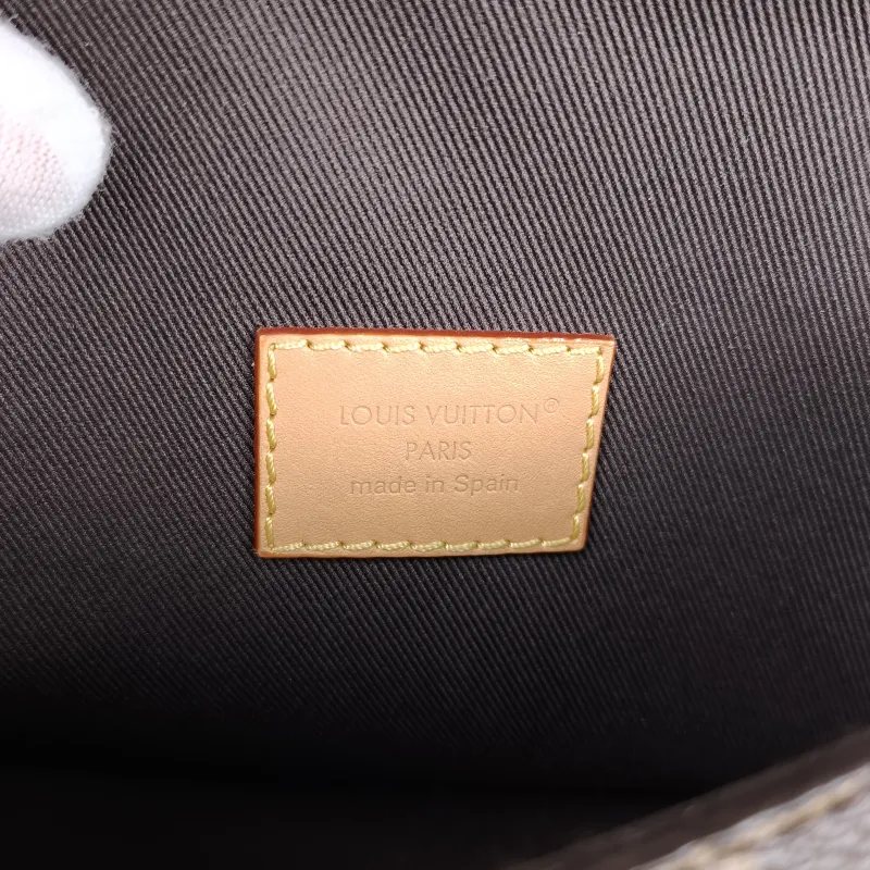 Louis Vuitton Crossbody Bag Diane Baguette Bag Monogram PV Cnano19 × 6 × 10.5 cm — detail view 11 of 12