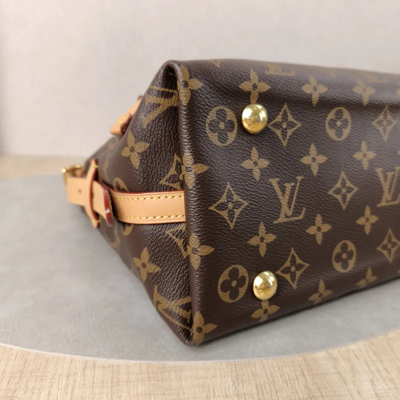 Louis Vuitton Crossbody Bag Carryall Monogram PVC Small 29 × 12 × 24 cm — detail view 1 of 12