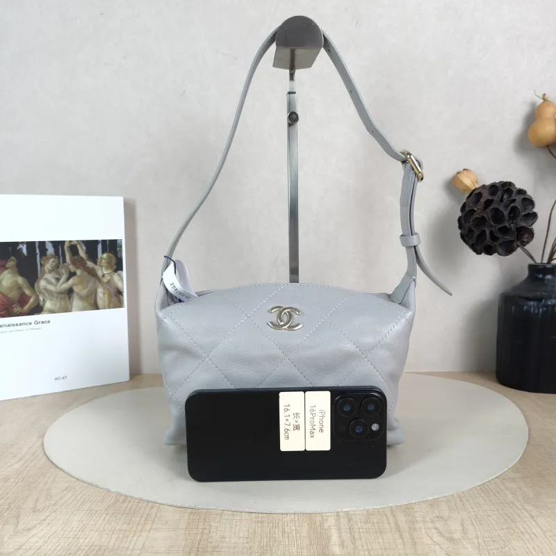 Chanel Shoulder Bag hobo Grey Lambskin 21.5 × 8.5 × 16 cm — cover view 5 of 5
