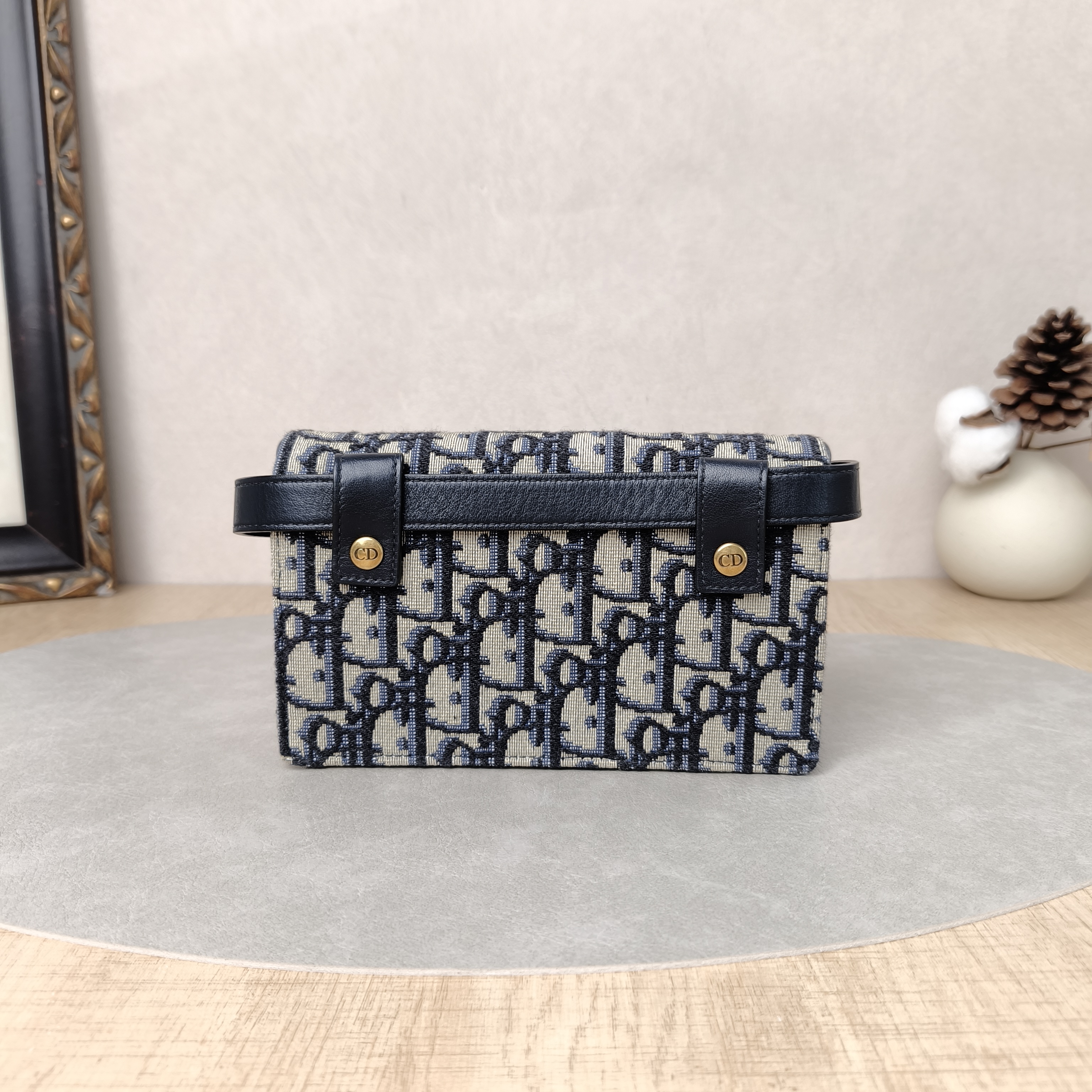 DIOR Belt Bag Saddle Belt Bag Monogram Canvas One Size17 × 3.5 × 10.5 cm — cover view 3 of 5