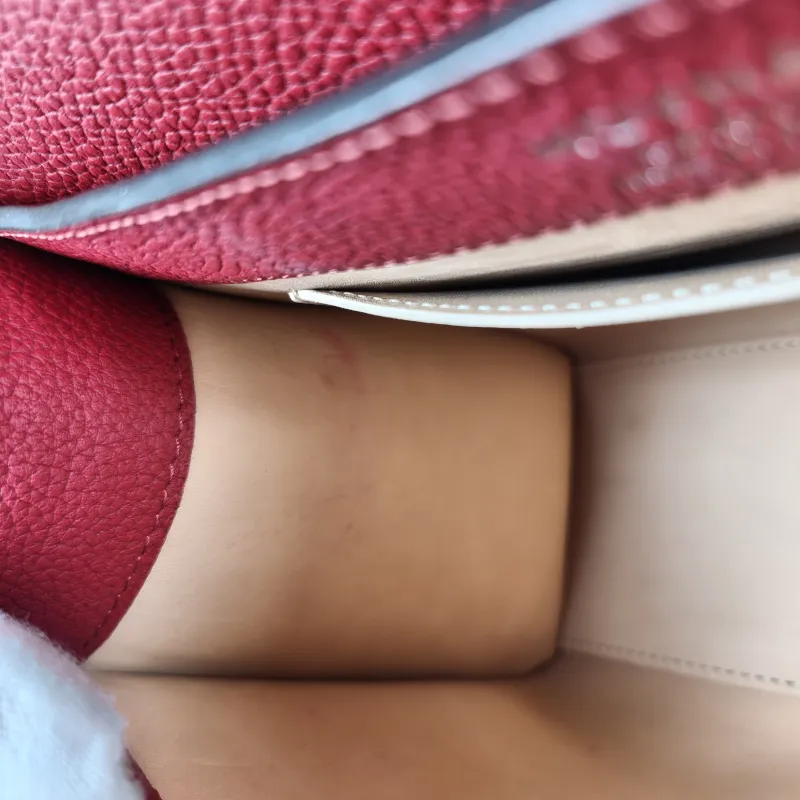 Moynat Crossbody Bag rejane Top Handle Crossbody Bag Red Calfskin Small 26 × 11 × 18 cm — detail view 5 of 16