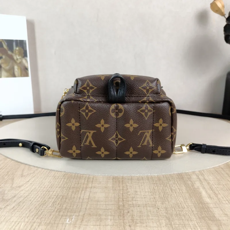 Louis Vuitton Backpack Palm Springs Backpack Monogram PV Cmini17 × 10 × 22 cm — cover view 5 of 5