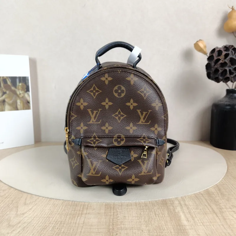 Louis Vuitton Backpack Palm Springs Backpack Monogram PV Cmini17 × 10 × 22 cm