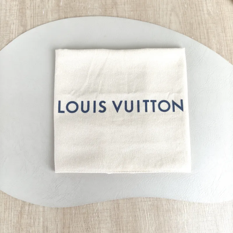Louis Vuitton Crossbody Bag Diane Baguette Bag Shoulder Strap PVC Small 24 × 9 × 15 cm — detail view 6 of 12