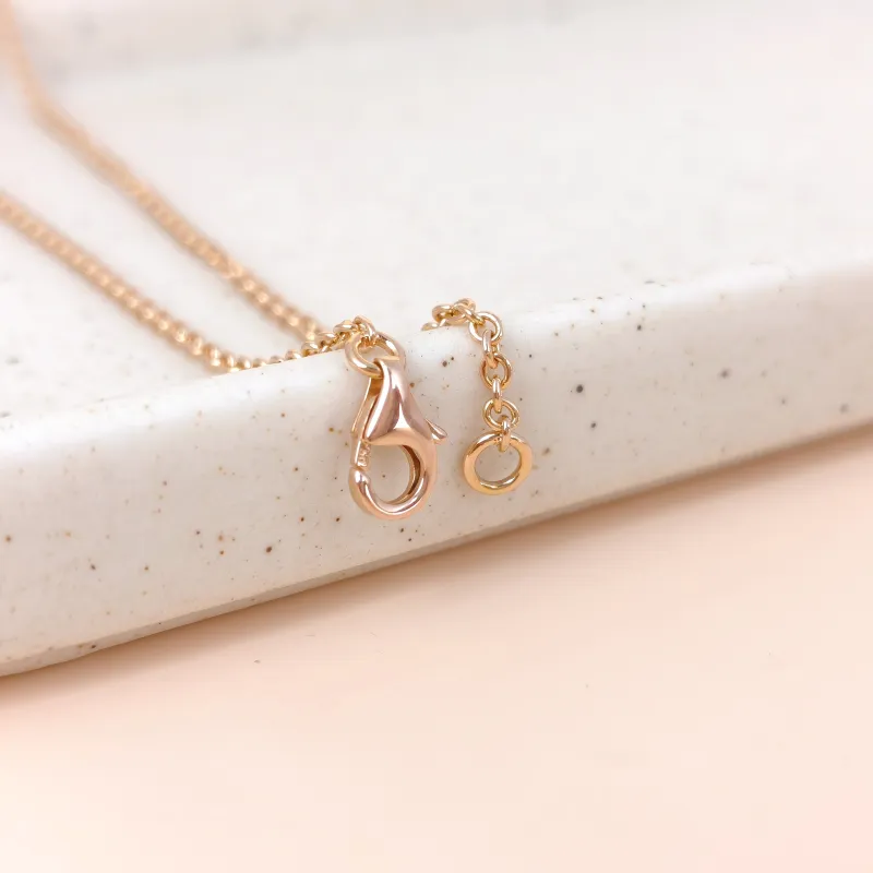 CARTIER Necklace Love Collection Pendant Rose Gold 18KR ose Gold One Size 43cm — cover view 9 of 9