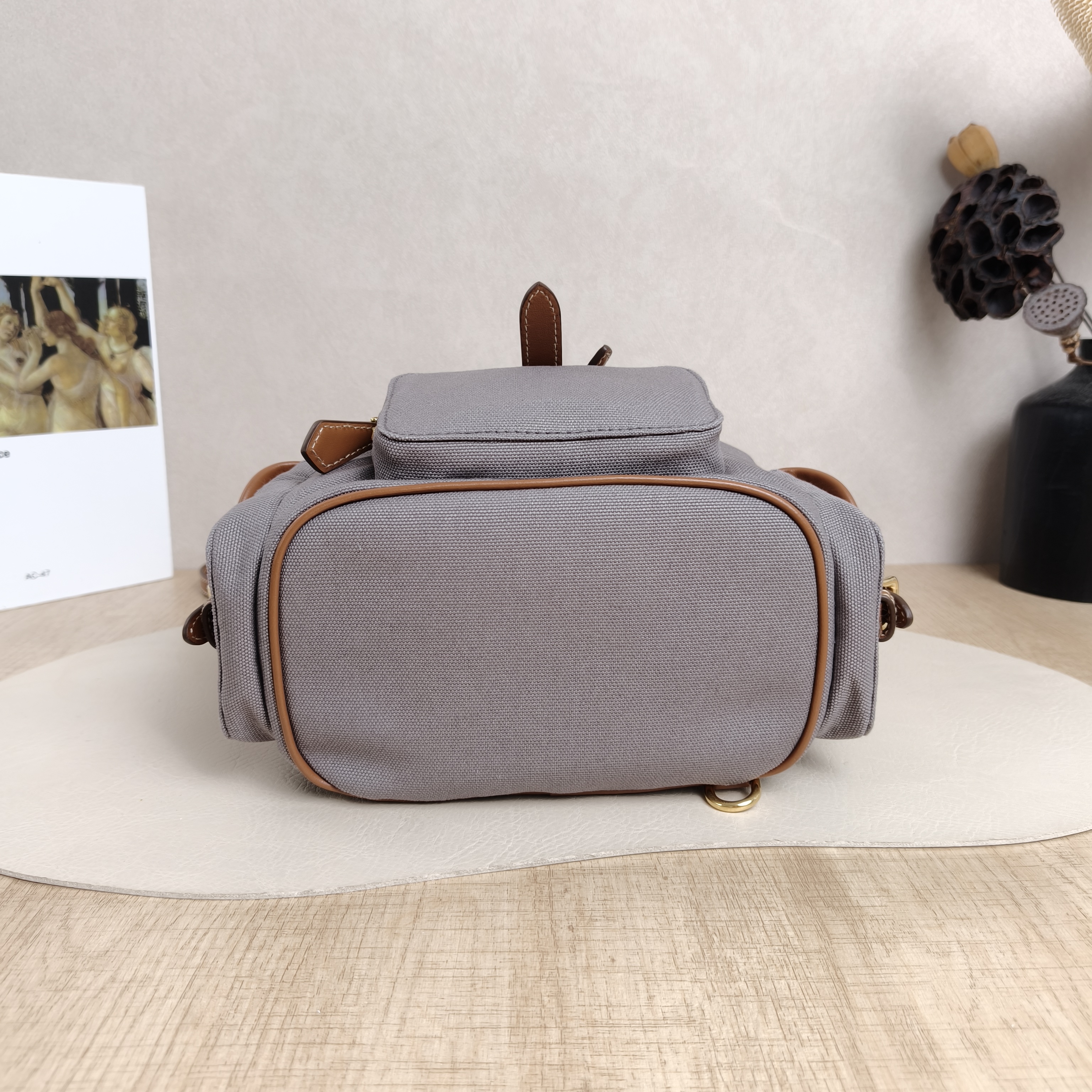 Miumiu Backpack Backpack Grey Canvas18 × 12 × 21 cm — cover view 6 of 6