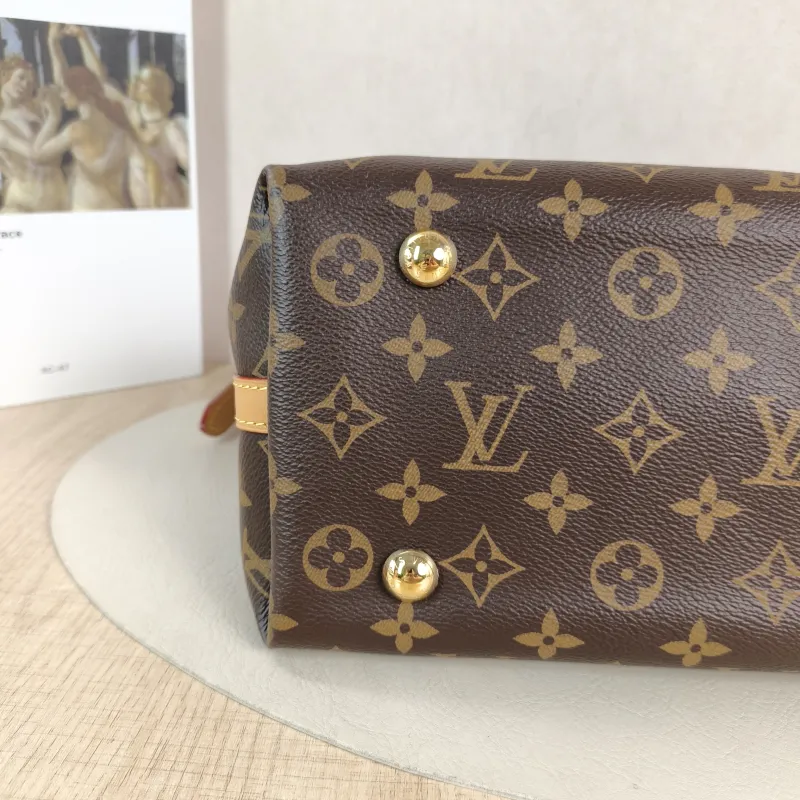 Louis Vuitton Crossbody Bag Carryall Monogram PVC Small 29 × 12 × 24 cm — detail view 9 of 12