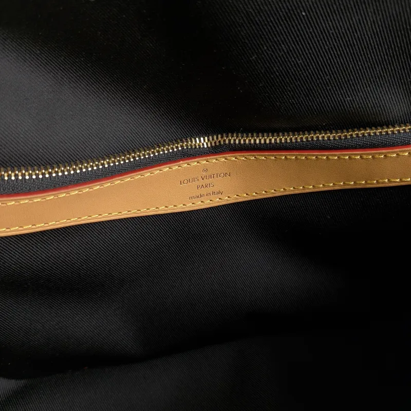 Louis Vuitton Crossbody Bag Diane Baguette Bag Shoulder Strap PVC Small 24 × 9 × 15 cm — detail view 12 of 12
